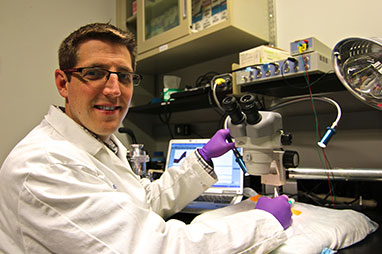 Photo of a man working in the lab. Link to Gifts of Cash, Checks, and Credit Cards.